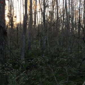 Meet your Posher, Nathan